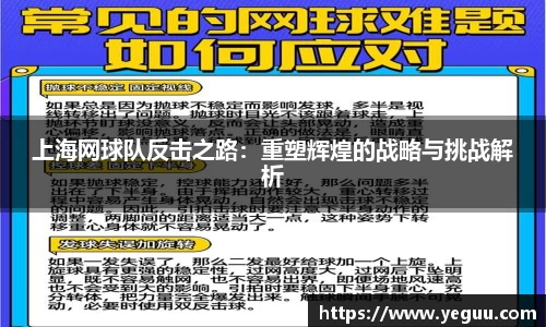 上海网球队反击之路：重塑辉煌的战略与挑战解析
