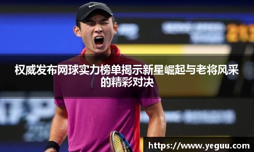 权威发布网球实力榜单揭示新星崛起与老将风采的精彩对决