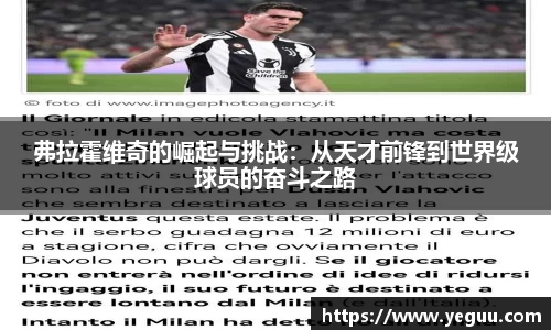 BSports网页版
