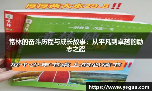 BSports网页版