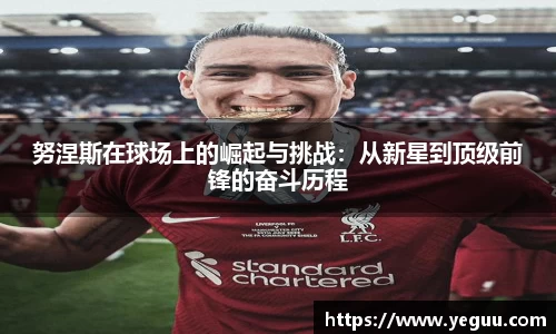 BSports网页版