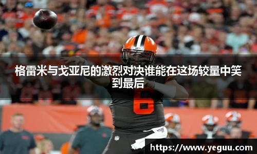 OB网站