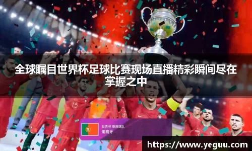 OB官方网站