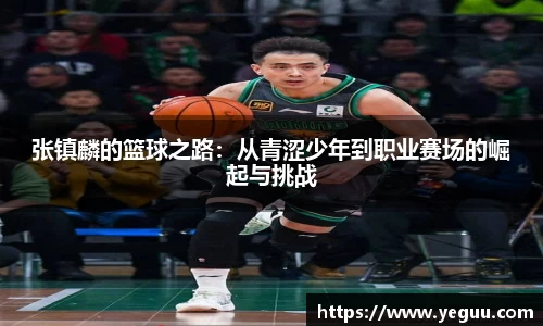 OB官网